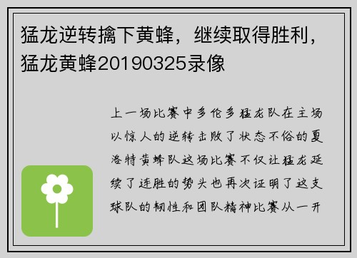 猛龙逆转擒下黄蜂，继续取得胜利，猛龙黄蜂20190325录像